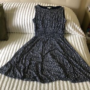 Dress Barn Fit and Flare Dress